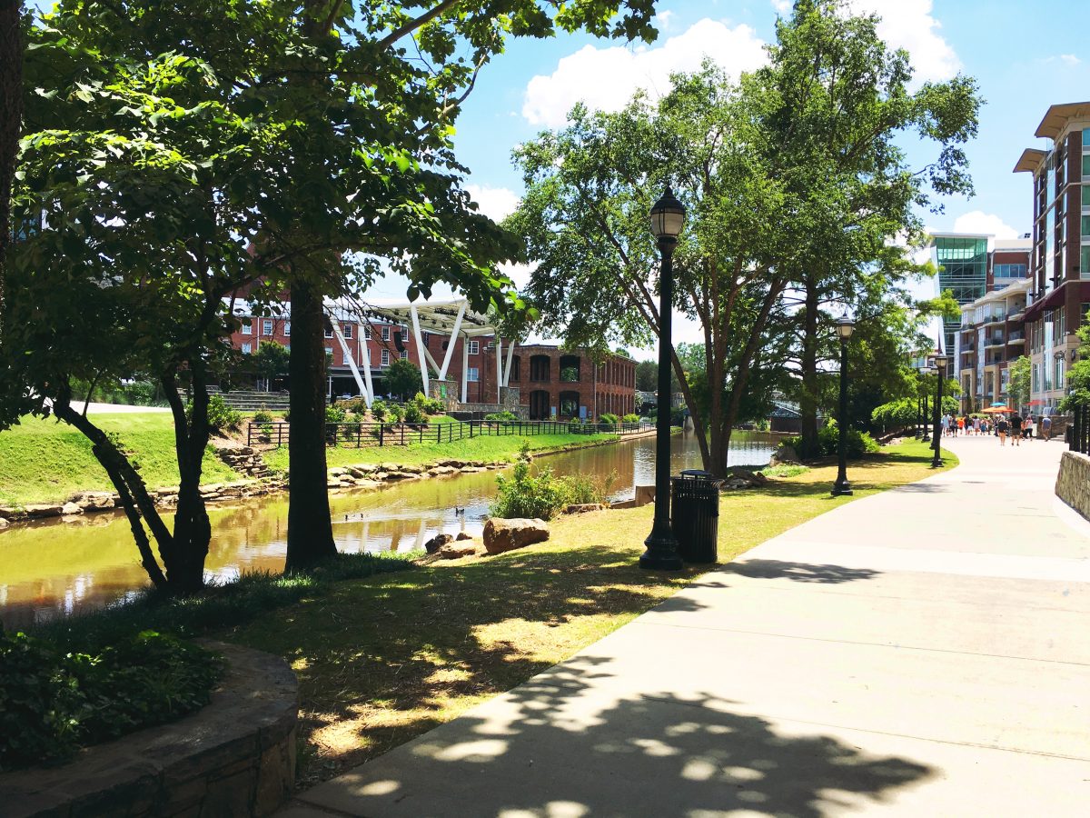 Afternoon at Reedy River